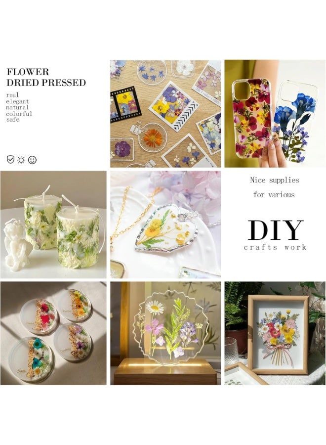 سيوسي Pressed Dried Leaves for Resin Molds, Natural Bulk Botanical Collection for Resin Molds, Epoxy Jewelry, Candles & Soap Making, DIY Craft Supplies for Nail Art, Home Decor & Gift Making(84-Piece) - Image 4