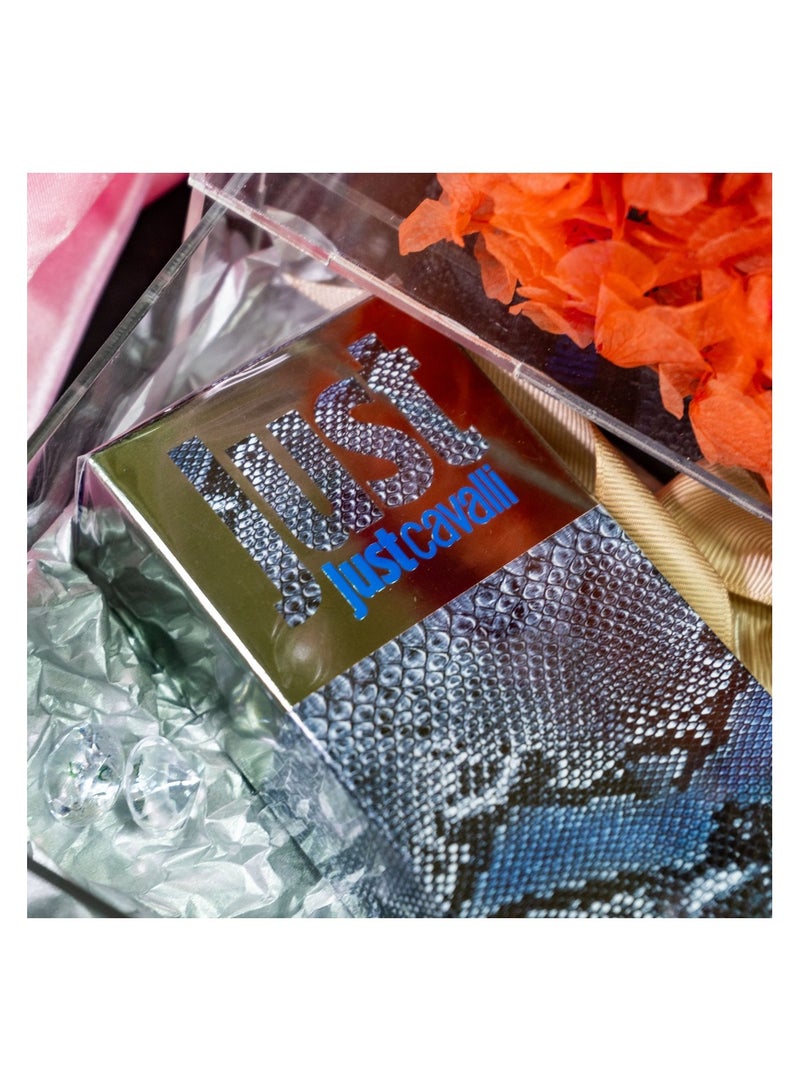   صوفيا طبيعة صندوق أكريليك مع زهرة إنفينيتي بريزيرف وكافالي - Image 3