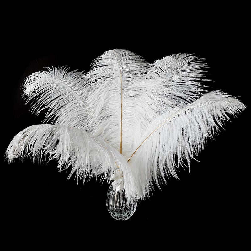 24pcs Natural White Ostrich Feathers 1012inch 2530cm for Wedding Party CenterpiecesFlower Arrangement and Home Decoration