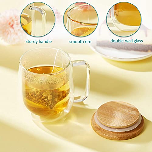 we3 Espresso Latte Glass Cups Double Wall Glass Mugs (250 ml), Heat Resistant Borosilicate Glass Cups with Handle with Lid Perfect for Latte, Cappuccino, Tea and Drinks. (Pack of 2) - Image 3