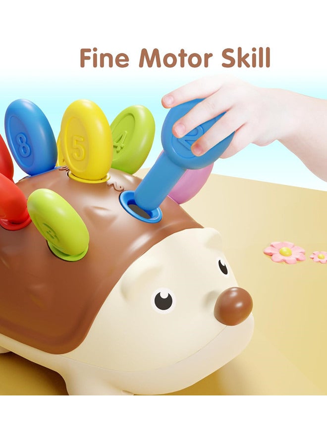 Fine Motor Toys for Toddlers 1-3, Baby Hedgehog Montessorri Learning Set, Educational Counting Sorter Toy, Development Infant Gifts 9 12 18 Month 1 2 3 Year Old Boys Girls Kids Babies - Image 5