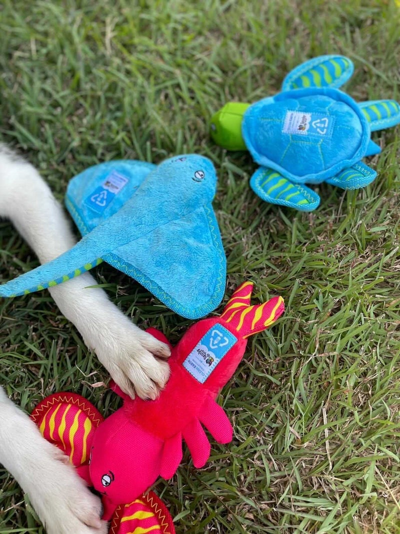 Spunky Pup Clean Earth Plush Stingray | Made from 100% Recycled Water Bottles | Small - Image 3