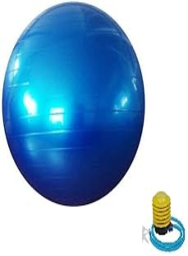 Fitness Exercise Swiss Gym Fit Yoga Core Ball 65CM Abdominal Back Leg Workout Blue