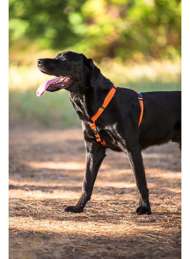 Rogz Reflective Adjustable Dog H Harness for Extra Large Dogs; Matching Collar and Leash Available, Orange - Image 4