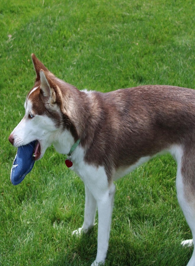 SPOT Dura-Fused Colors Fish - Colorful Leather Dog Toys with Squeaker, Made with Real Leather and Jute Fabric, Durable Stuffed Toy for Dogs and Puppies, 7in, Color and Style May Vary - Image 4