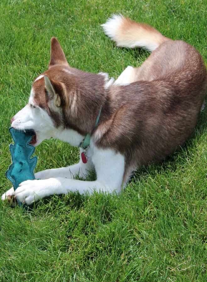 SPOT Dura-Fused Colors Fish - Colorful Leather Dog Toys with Squeaker, Made with Real Leather and Jute Fabric, Durable Stuffed Toy for Dogs and Puppies, 7in, Color and Style May Vary - Image 5