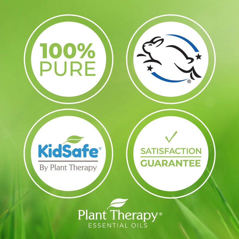 Plant Therapy Manuka Essential Oil 10 mL (1/3 oz) 100% Pure, Undiluted, Therapeutic Grade - Image 3