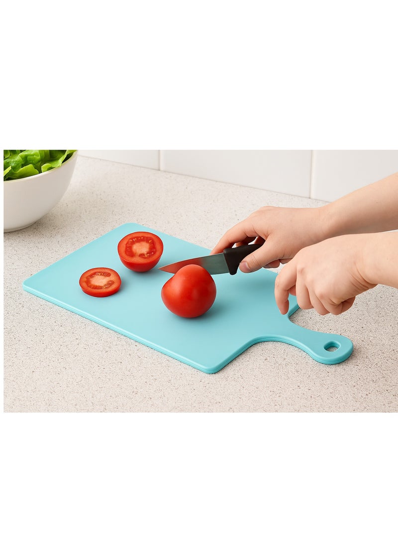 Multi-purpose plastic cutting board with a comfortable handle - available in several colors - 686