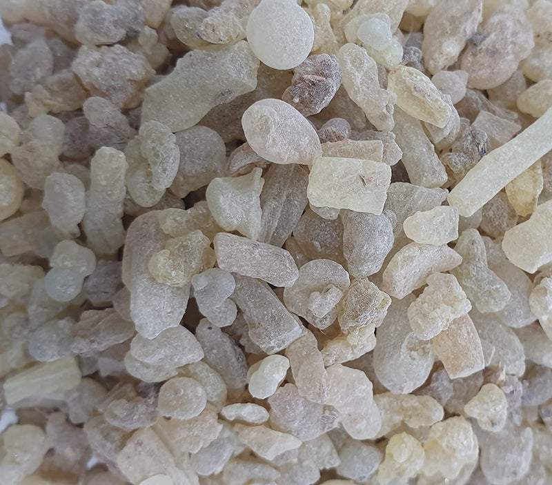 LJL Traders Frankincense Resin (500 gm) | Monastery Incense | Olibanum | Boswellia Carterii | Frankincense Tears | Pure Frankincense Granules - Image 3