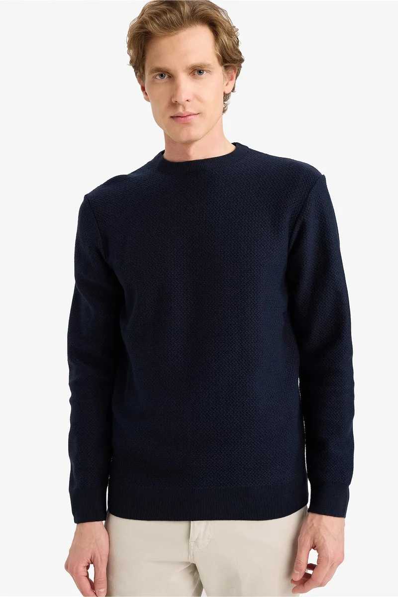 Standard Fit Crew Neck Knitwear Pullover