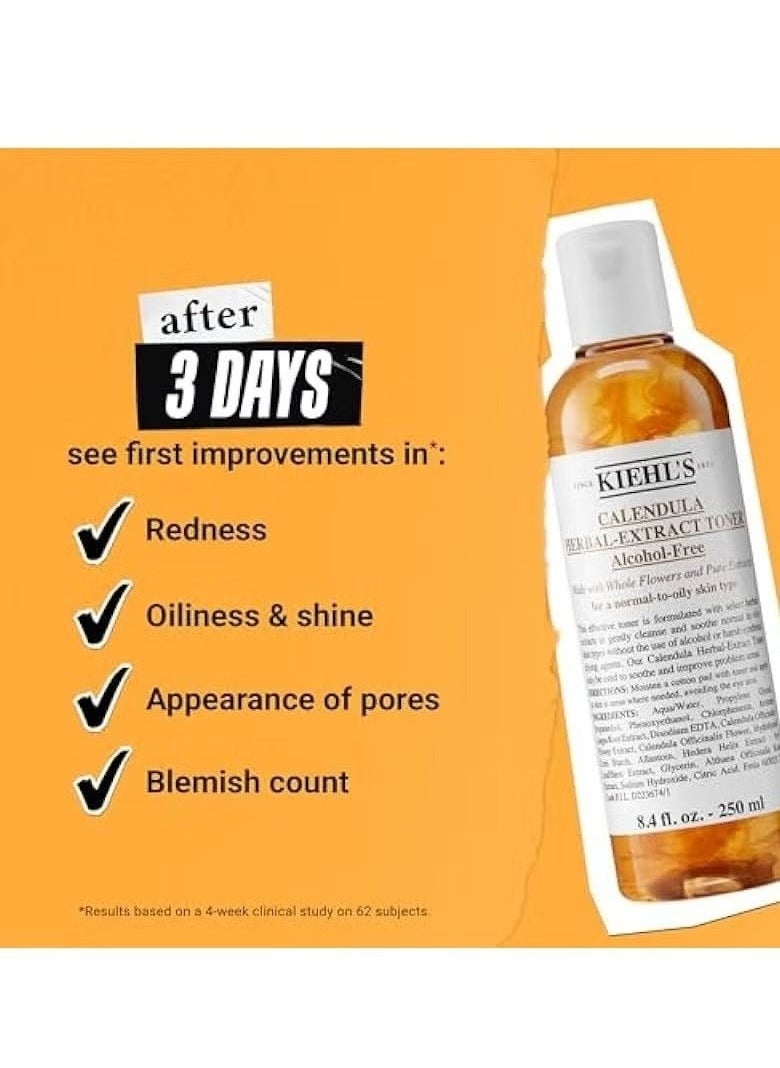 Kiehl's Calendula Herbal Extract Alcohol-Free Toner 250ML  - Image 3