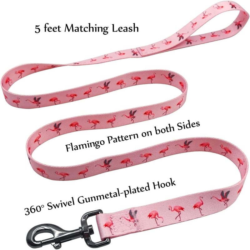 Ovale Dog Collar and Leash Set, Polyester Webbing with Flamingo Pattern, 4 (Pink Flamingo, Medium) - Image 3