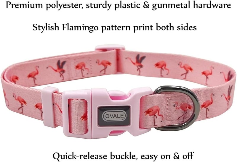 Ovale Dog Collar and Leash Set, Polyester Webbing with Flamingo Pattern, 4 (Pink Flamingo, Medium) - Image 2