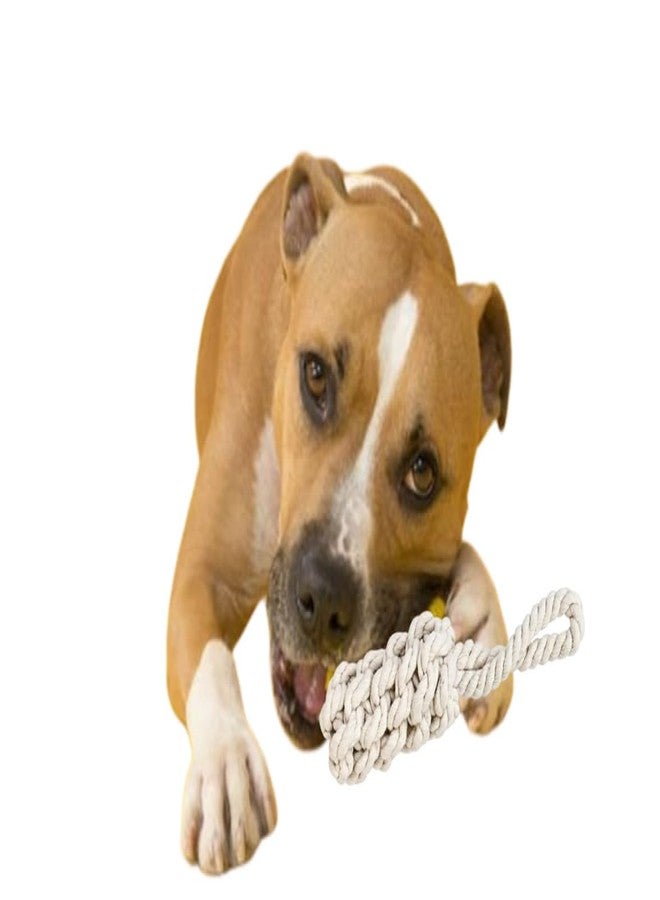 BohoBark Durable Cotton Mix Chewable Rope Teething Playing Toy for Puppies, Kittens, and Medium Dogs Suitable for All Breeds - Image 2