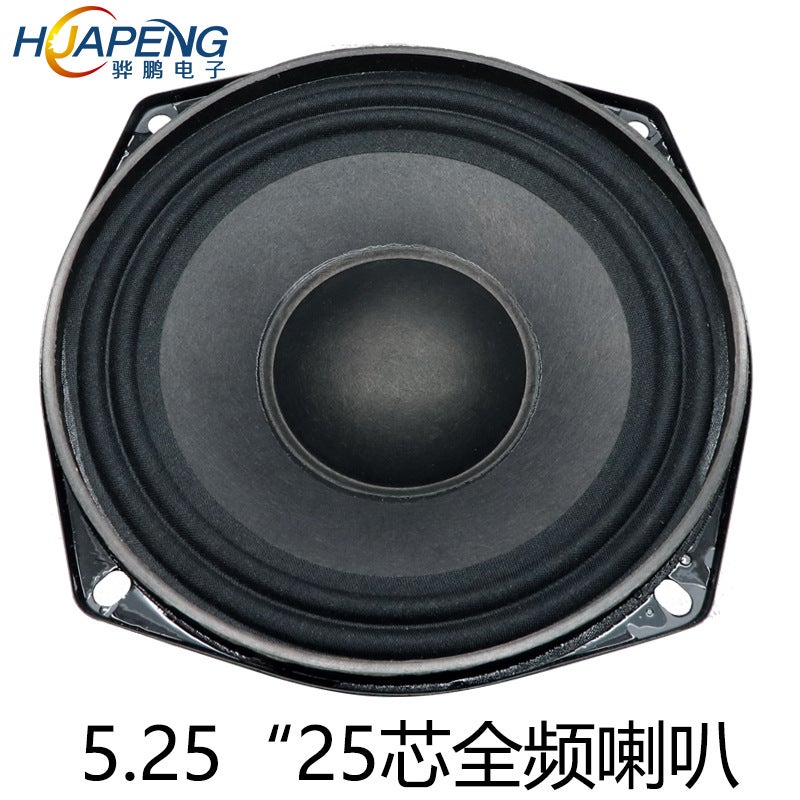 5.25 Inch Woofer 4 Euro 40W Rubber Side Broadcast Audio Portable Speaker Full Frequency Speaker - Image 4