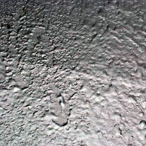 Design Engineering تصميم الهندسة 050220 بخاخ مات لخفض الضوضاء والاهتزاز غير المرغوب فيه 18 أونصة (6 عبوات) - Image 3