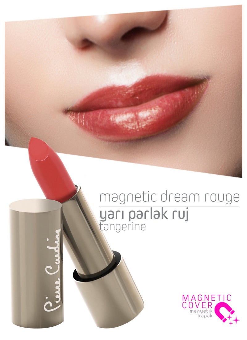 Pierre Cardin Paris أحمر شفاه بيير كاردان باريس ماغنيتيك دريم 4 جرام - Image 2
