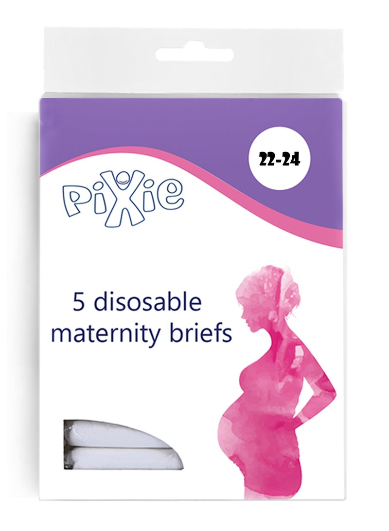 Pixie Pixie Disposable Maternity Brief 5Pcs (Size 22-24), Pack Of 2  - Image 2