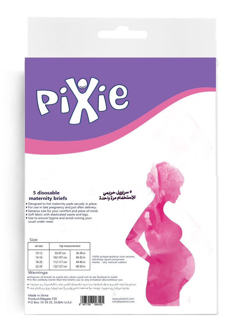 Pixie Pixie Disposable Maternity Brief 5Pcs (Size 22-24), Pack Of 2  - Image 3