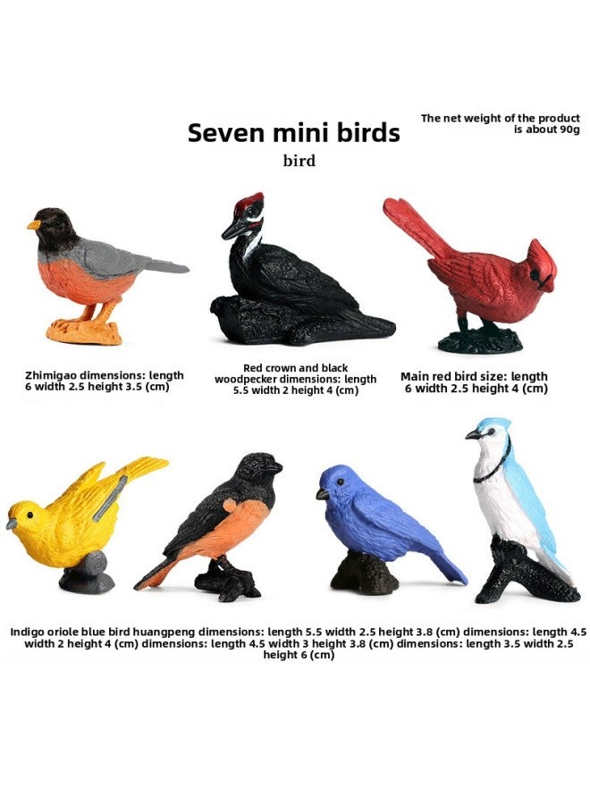 Children's Early Education Simulation Marine Animal Model Dinosaur Toy Birds Insect Sand Table Fleshy Scene Fish Tank Ornaments-Color:M4134 Mini Bird (7 Sets) - Image 1