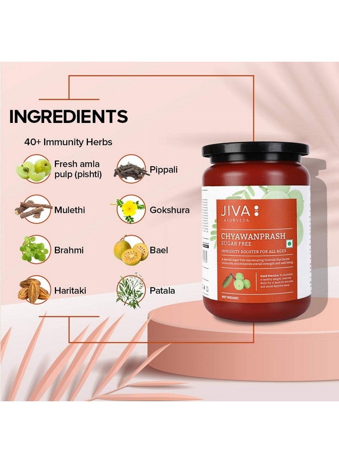 Jiva Ayurveda Chyawanprash (Combo) Sugar Free & Immunity Booster | For All Age Group (For Men & Women) - 500gm Each (Pack of 2) - Image 5