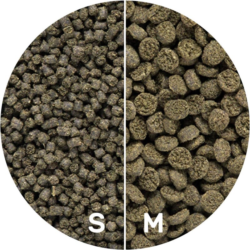 Hikari Seaweed Extreme Marine Herbivores Fish Food - 45g Sinking Pellets - Image 5