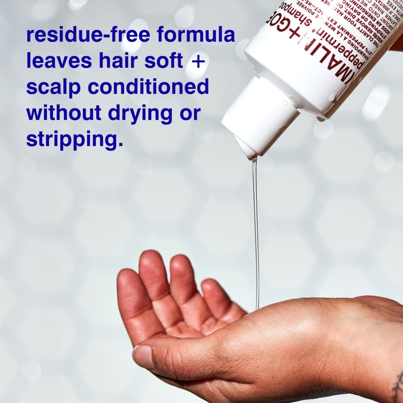 MALIN + GOETZ MALIN+GOETZ Shampoo Clarifying Peppermint | Daily Cleanser with Amino Acids | Vegan, Sulfate-Free & Unisex (8 Fl Oz) - Image 3