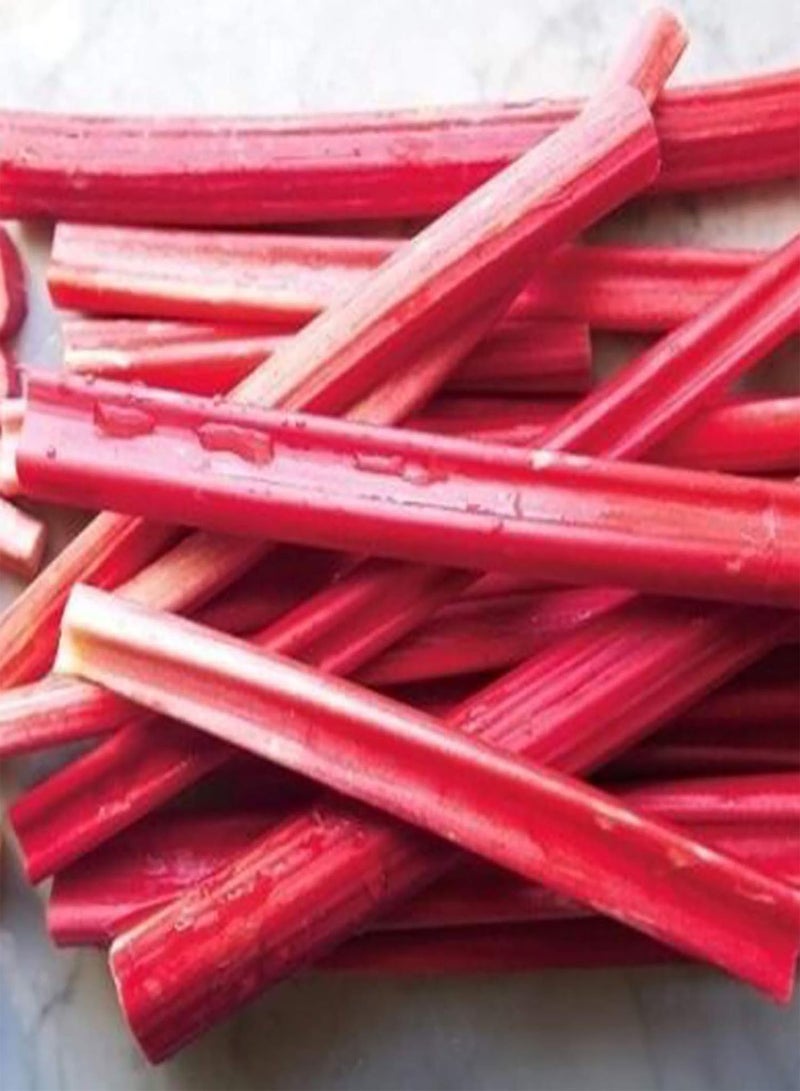 GGOOT 1 Bag Garden Seeds,Nutritious Making Red Stem Rustic Chenopodiaceae Seeds for Planting Garden Yard Outdoor 1 Rhubarb Seeds - Image 2