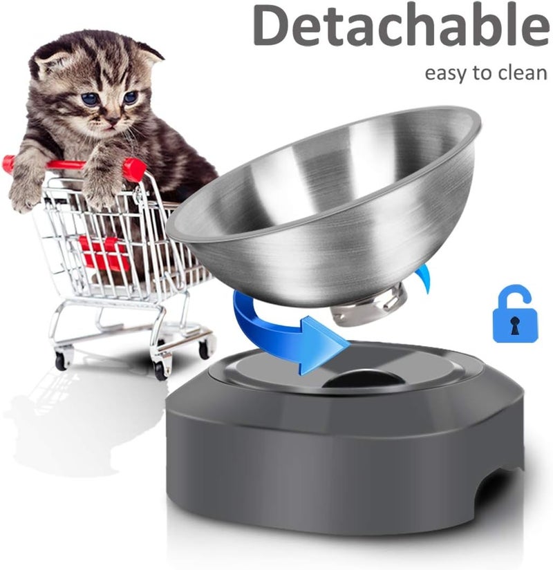 AYADA Raised Cat Food Bowl, Stainless Steel Cat Dish for Food Water Anti Vomiting Elevated with Stand Ergonomic Lifted Slanted Tilted 15 Angle Metal Single Kitty Kitten Wet Food Bowl Pet Bowl (Single) - Image 5