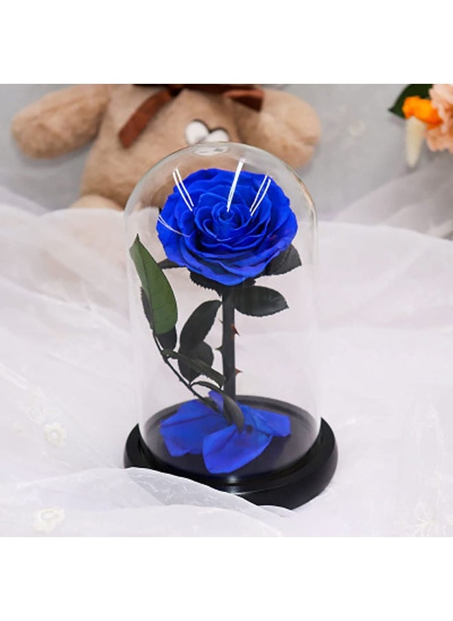 For Ever Rose Blue - pzsku/Z0DFE15A69E151480828DZ/45/_/1728461850/56f70e8f-38df-4727-86df-21f49000083c