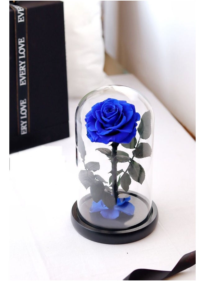 For Ever Rose Blue - pzsku/Z0DFE15A69E151480828DZ/45/_/1728461852/cc43a929-57d3-42d3-8c56-de6fe8a075eb