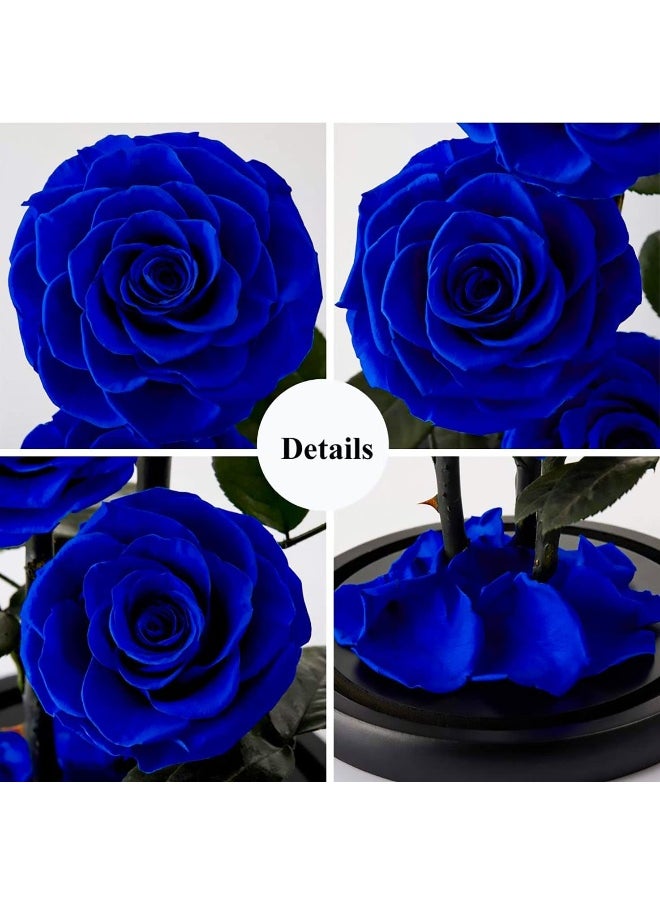 For Ever Rose Blue - pzsku/Z0DFE15A69E151480828DZ/45/_/1728461854/c0b476d4-2f53-4cf3-a622-ae96960141dc