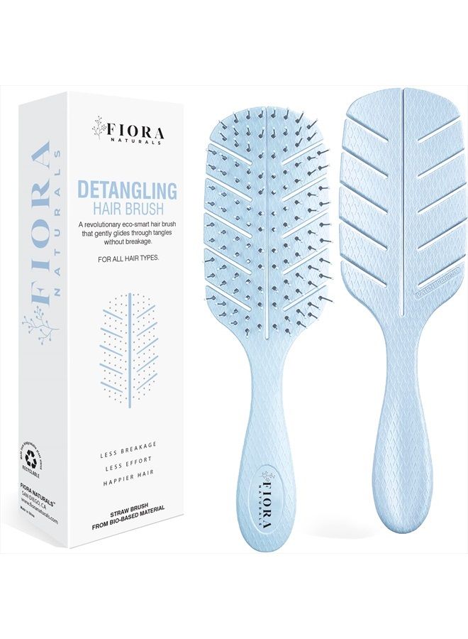 Fiora Naturals فرشاة فك التشابك من فيورا ناتشورالز - فرشاة فك تشابك صديقة للبيئة 100% مع شعيرات فائقة النعومة - انزلق عبر التشابكات بسهولة - مناسبة للشعر المجعد، المستقيم، الطبيعي الأسود، للنساء، الرجال، الأطفال - للشعر الجاف والرطب - Image 1