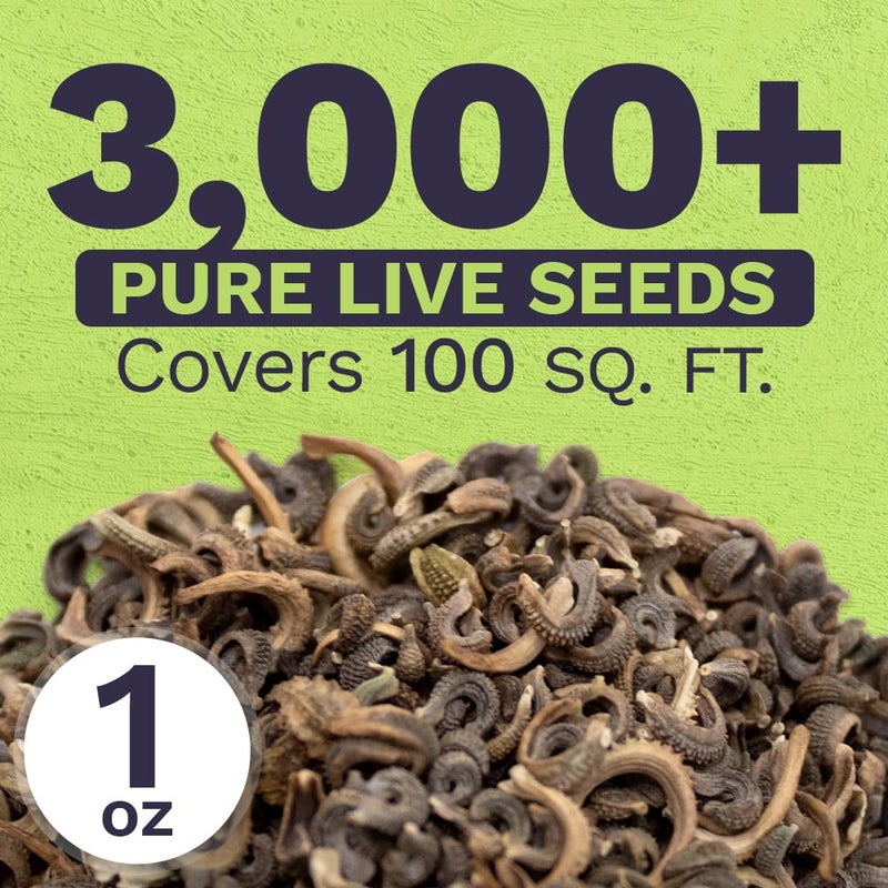 SWEET YARDS كاليندولا 'مزيج جمال المحيط' - عبوة كبيرة جدًا - أكثر من 3,000 بذور زهور برية مفتوحة التلقيح غير معدلة وراثيًا - كاليندولا أوفيشيناليس - Image 3