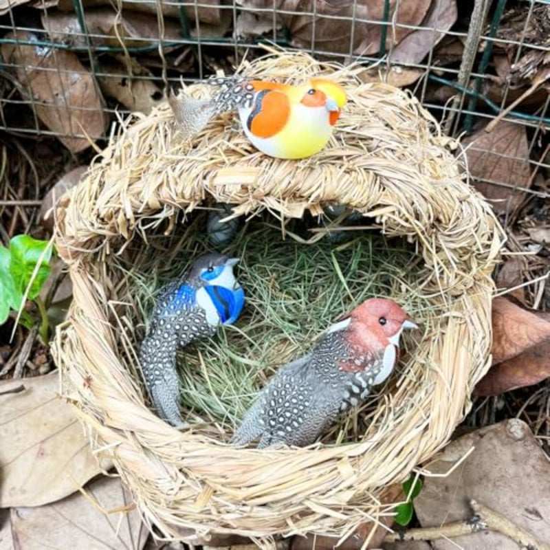 4pcs Artificial Birds Clip on Bird Ornaments with Feathers for Spring Christmas Tree tion, Arts and Crafts and Floral Arrangements - Image 4