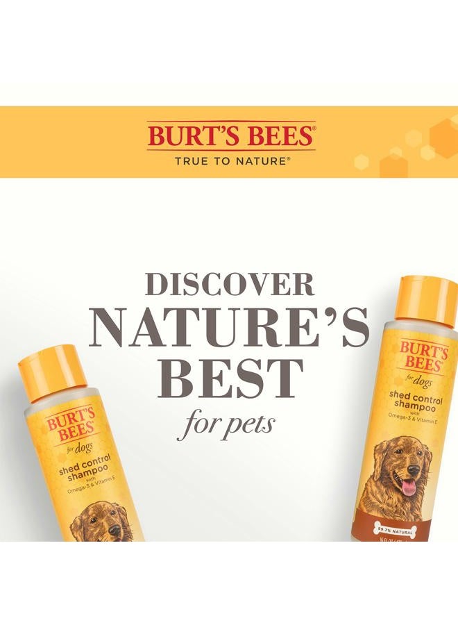 Burt's Bees شامبو التحكم في تساقط الشعر من بيرتس بيز للحيوانات الأليفة مع أوميغا 3 وفيتامين E، شامبو تساقط الشعر للكلاب، شامبو بيرتس بيز للكلاب، شامبو الحيوانات الأليفة، شامبو إزالة تساقط الشعر للكلاب، شامبو طبيعي للكلاب، غسيل الكلاب (عبوة من 2) - Image 3