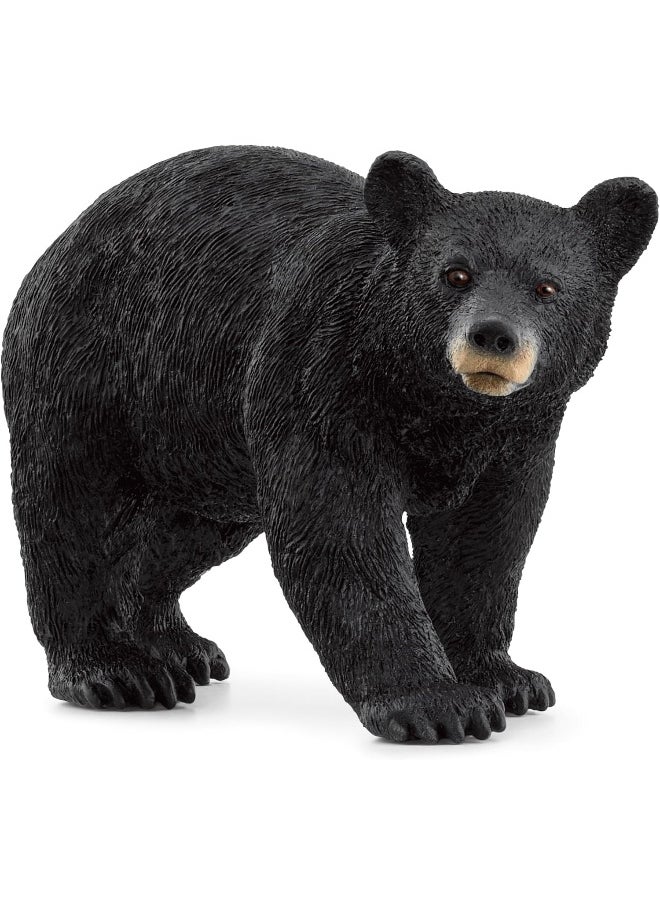 Schleich Schleich Wild Life American Black Bear Figure (5.8 cm)  - Image 3