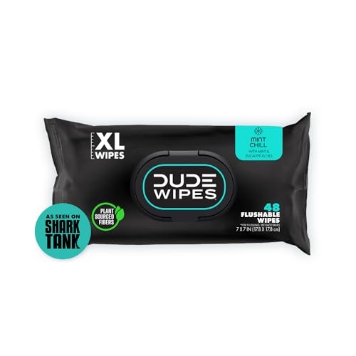 DUDE Wipes Flushable Wipes 1 Pack 48 Count Mint Chill VitaminE Aloe Eucalyptus Tea Tree Oils Septic and Sewer Safe