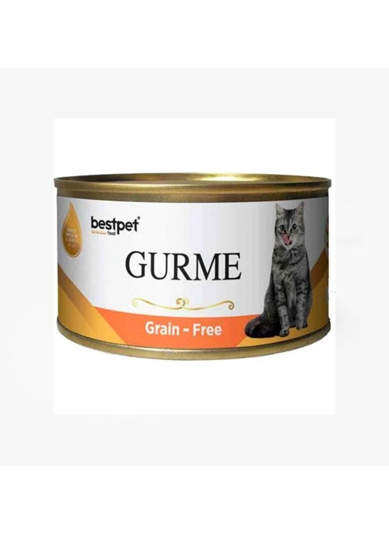 bestpet bestpet Gurme with Salmon for Sterilized Cats 100 g 