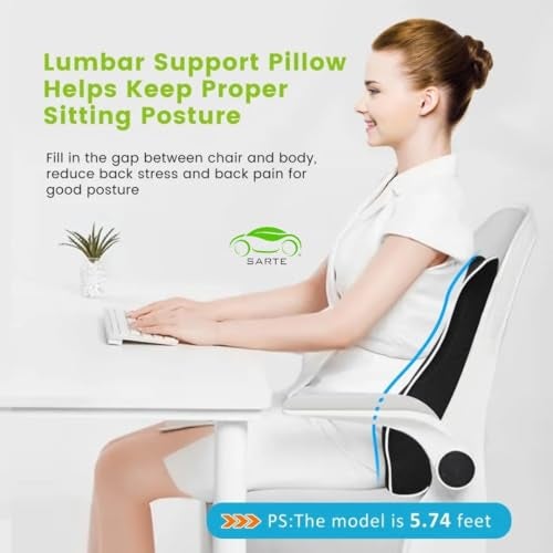 SARTE Back Support for Chair Premium Memory Foam Lumbar Support Cushion for Car and Office Chairs, and Comfort for Long Hours, Backrest Pillow for Posture Correction, Back Pain Relief Black Large - Image 2