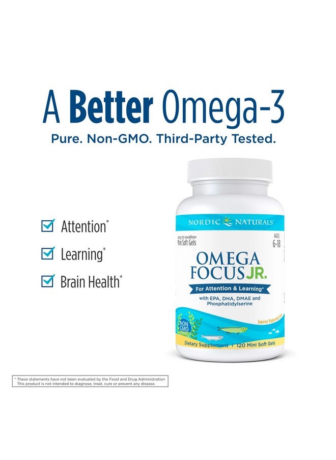 Nordic Naturals Omega Focus Jr., Lemon - 120 Mini Soft Gels - 900 mg Total Omega-3s with EPA, DHA, DMAE & Phosphatidylserine - Attention, Learning - Non-GMO - 30 Servings - pzsku/Z0E0DCB23D59EA56EE465Z/45/_/1739883238/eba66b9a-dbf9-4c48-ba27-8aff0f3b3181