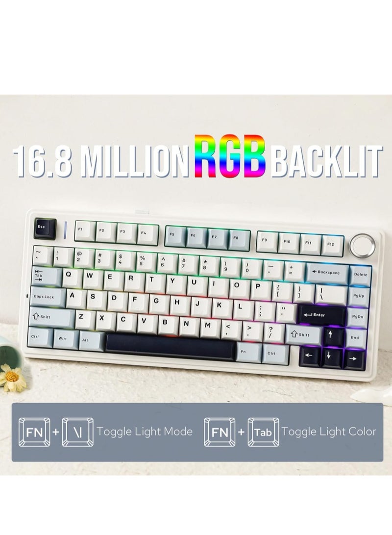 EPOMAKER x AULA F75 Gasket Mechanical Keyboard, 75% Wireless Hot Swappable Gaming Keyboard with Five-Layer Padding&Knob, Bluetooth/2.4GHz/USB-C, RGB (Light Blue, LEOBOG Reaper Switch) - Image 5