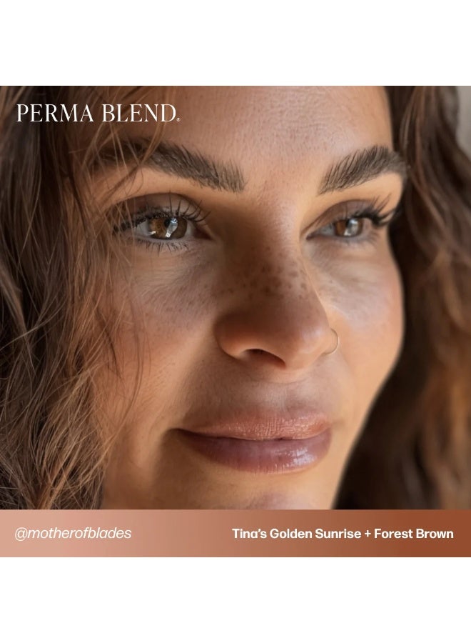 Perma Blend Eyebrow Pigment – Perma Blend Tina's Gold Sunrise 15ml | Professional Permanent Makeup Brow Tattoo Ink for Microblading, Ombre & Powder Brows | Vegan, High Retention, True-to-Tone Color | SKU: PBTGS1/2 - Image 3
