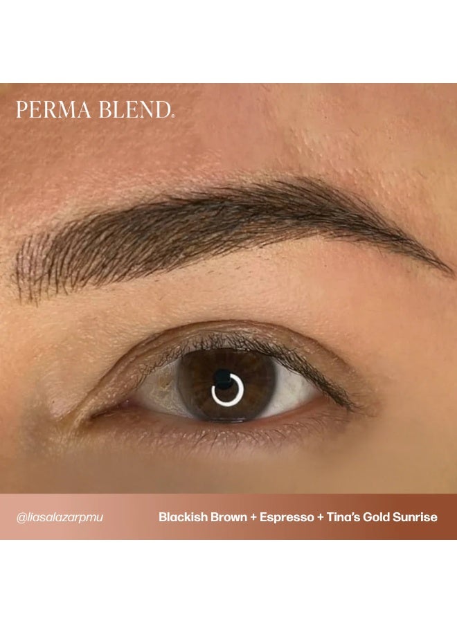 Perma Blend Eyebrow Pigment – Perma Blend Tina's Gold Sunrise 15ml | Professional Permanent Makeup Brow Tattoo Ink for Microblading, Ombre & Powder Brows | Vegan, High Retention, True-to-Tone Color | SKU: PBTGS1/2 - Image 2