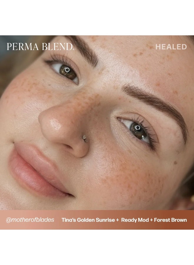 Perma Blend Eyebrow Pigment – Perma Blend Tina's Gold Sunrise 15ml | Professional Permanent Makeup Brow Tattoo Ink for Microblading, Ombre & Powder Brows | Vegan, High Retention, True-to-Tone Color | SKU: PBTGS1/2 - Image 4