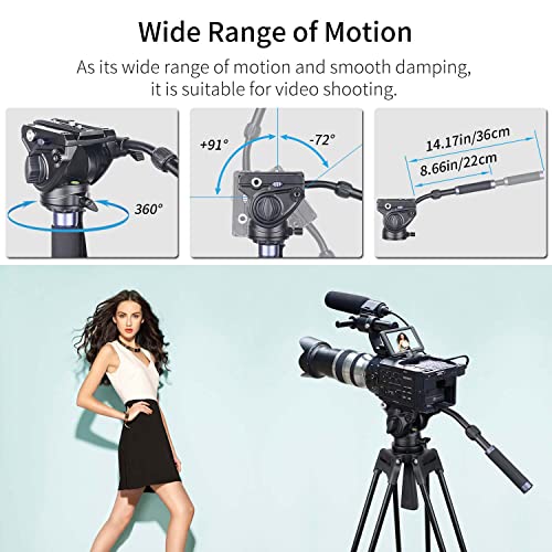 Innorel Heavy Duty Tripod Fluid Head- F80 Drag Pan Cameras Video Fluid Head With 1 4 And 3 8 In Screws Sliding Plate Cnc Professional Panoramic Max Load 26.5Lb 12Kg For Dslr Camcorders Shooting Film - Image 3