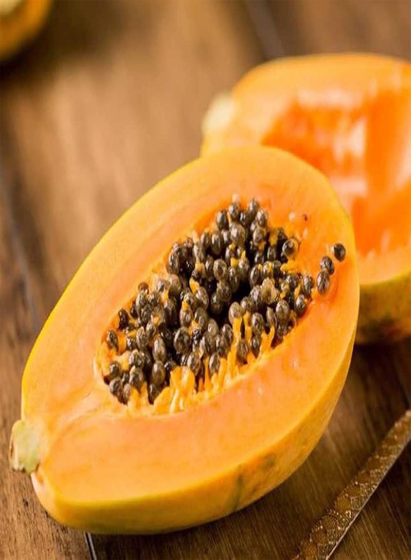 GGOOT 20pcs Eye Catching Unique Rare Papaya Seeds Little Difficulty in Planting Suitable for Beginners Novice Gardeners - Image 2