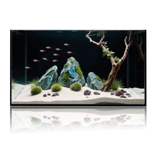 Wonderfactory 10 Gallon Glass Fish Tank, Aquarium Fish Bowl Cube for Betta Goldfish Snails Shrimp Aquatic Planting, Easy to Maintain Ultra Clear Rimless Dark Background Low Iron - Image 1
