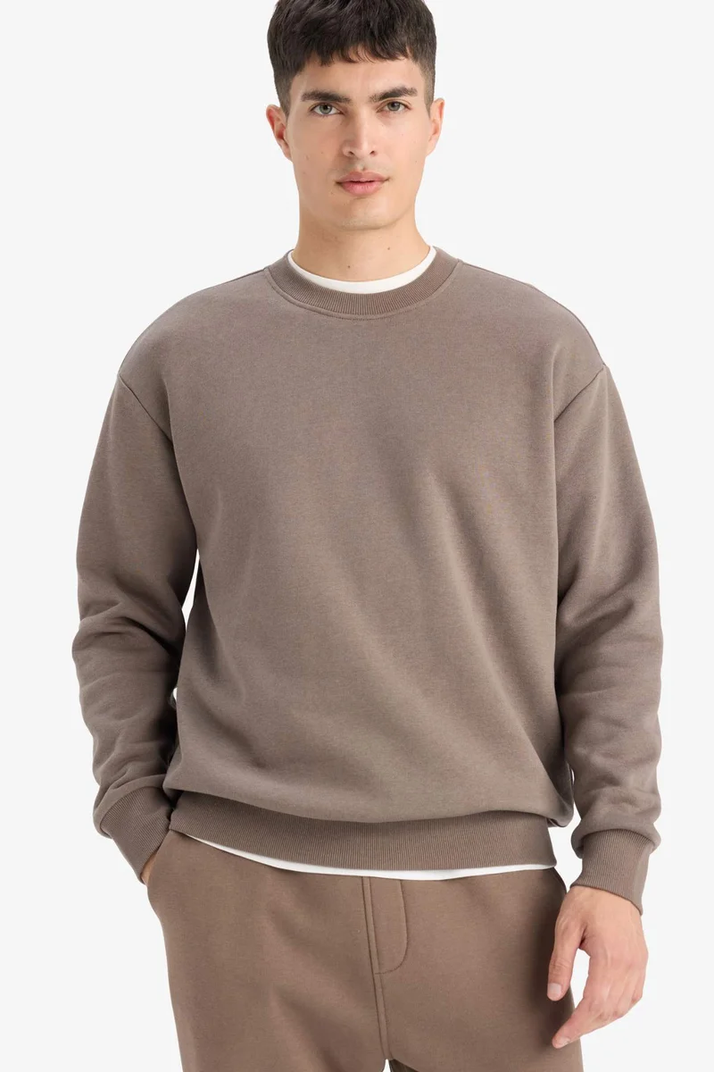 DeFacto Relax Fit Crew Neck Thick Fabric Sweatshirt