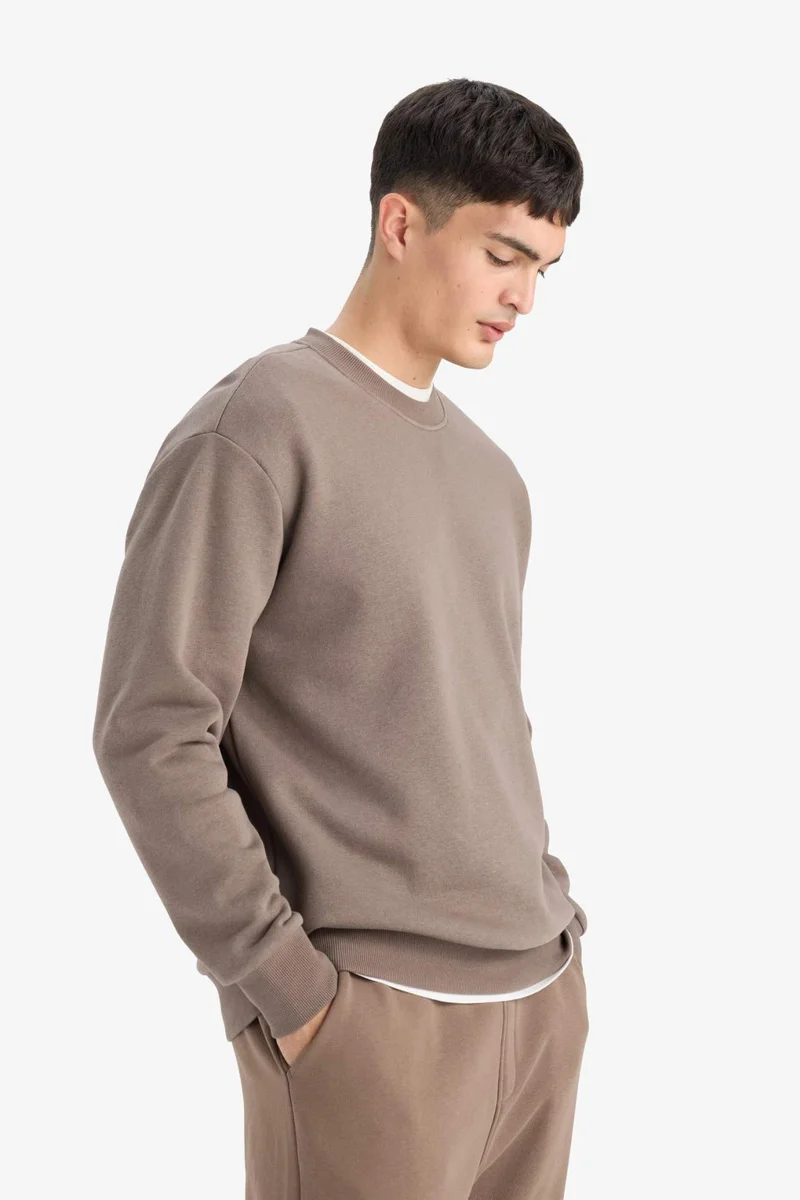 Defacto  Relax Fit Crew Neck Thick Fabric Sweatshirt for Men | Best Price UAE